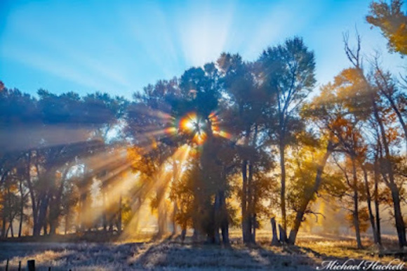 Meet your Posher, Rocio - Picture 1 of 1